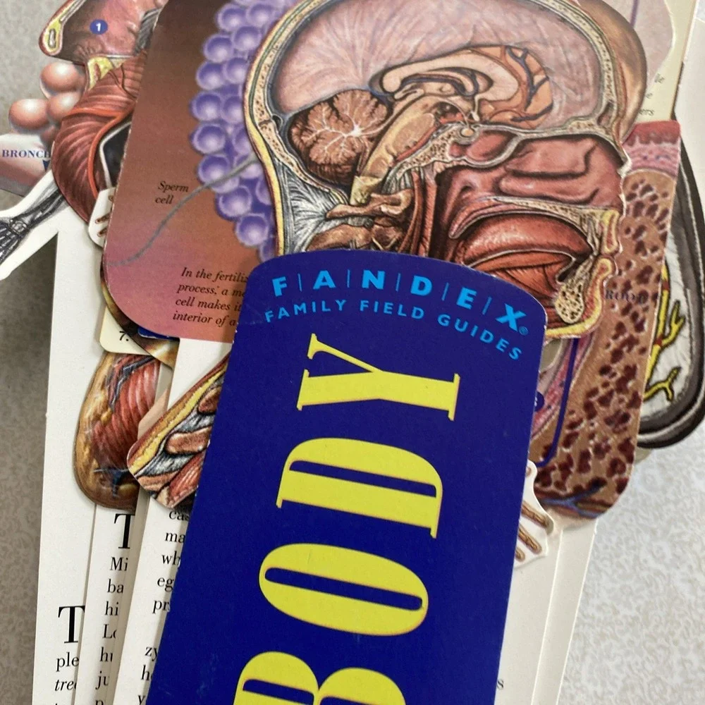 VTG Fandex Family Field Guides The Body Human Anatomy Biology Dr. Stephen Rudin